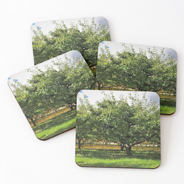 Item preview, Apple Orchard in the Okanogan designed and sold by BlueFoxCreative.