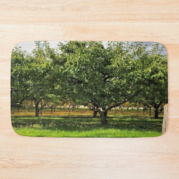Item preview, Apple Orchard in the Okanogan designed and sold by BlueFoxCreative.