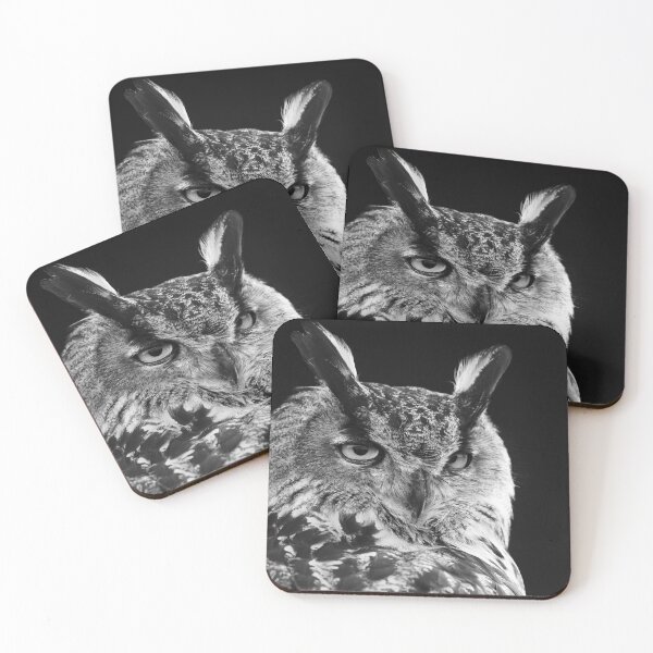 Item preview, Eurasian Eagle Owl Monochrome designed and sold by Ryan  Ten.