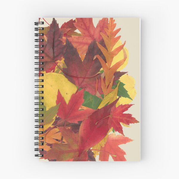 Item preview, Fall Leaf Pile designed and sold by PNWBeePhotos.