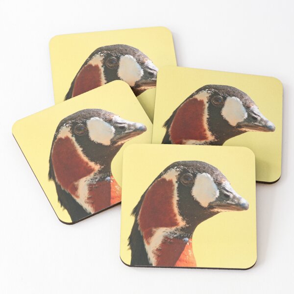 Item preview, Red-breasted Goose designed and sold by nicky-petkov.