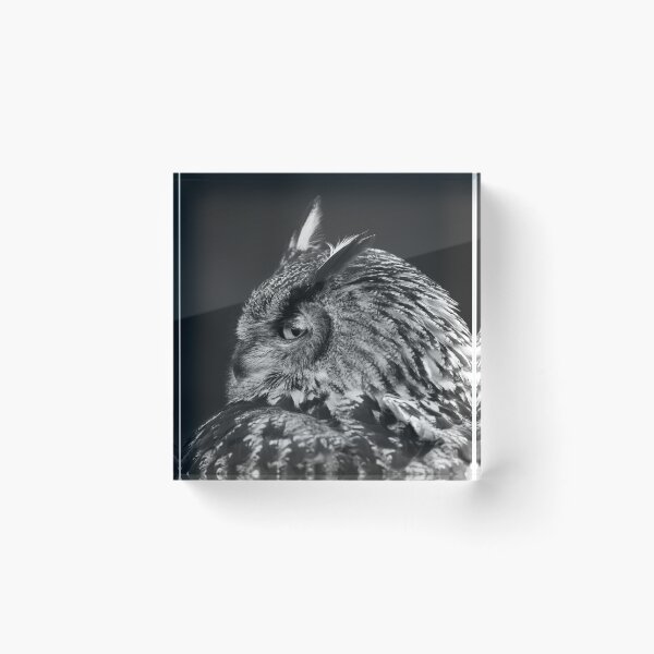Item preview, Eurasian Eagle Owl Looking Back- Monochrome designed and sold by Ryan  Ten.