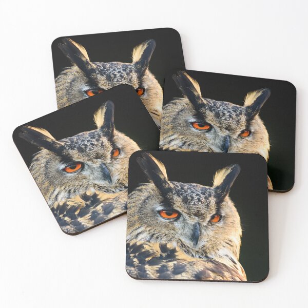 Eurasian Eagle Owl Coasters (Set of 4)