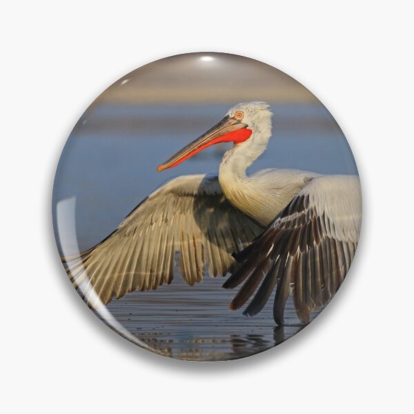 Item preview, Dalmatian Pelican designed and sold by nicky-petkov.