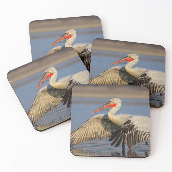 Item preview, Dalmatian Pelican designed and sold by nicky-petkov.