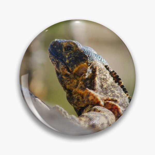 Item preview, BLACK IGUANA designed and sold by thedvguy.
