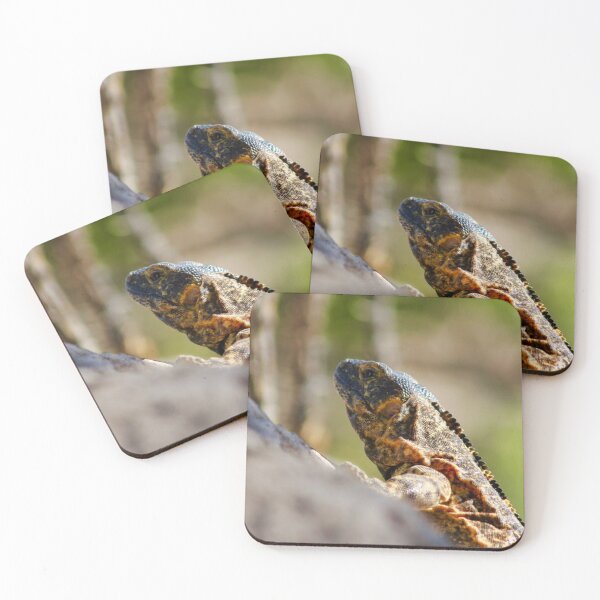 Item preview, BLACK IGUANA designed and sold by thedvguy.