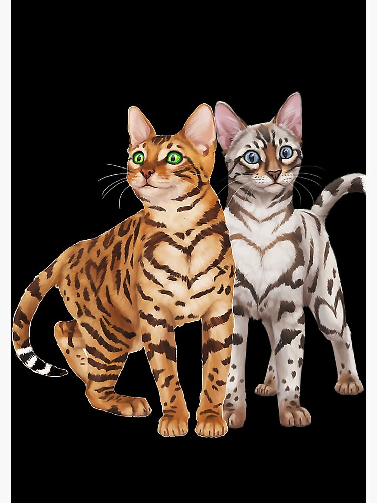 : Domestic Brown Rosetted Bengal Cat - Bengal Dad - Cats