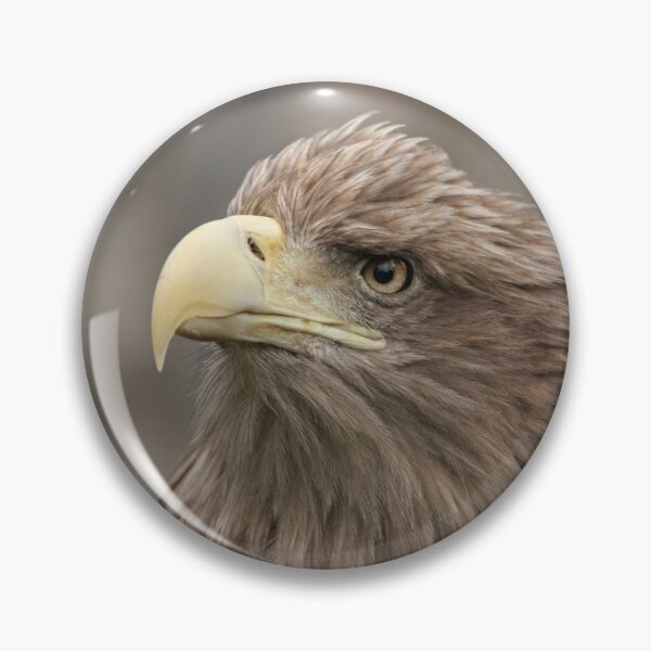 Item preview, White-tailed Eagle designed and sold by nicky-petkov.