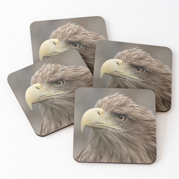 Item preview, White-tailed Eagle designed and sold by nicky-petkov.