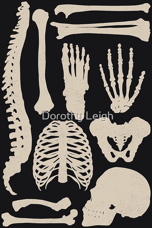 Osteology Art Print - 