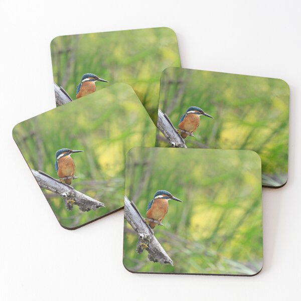 Item preview, Kingfisher designed and sold by nicky-petkov.