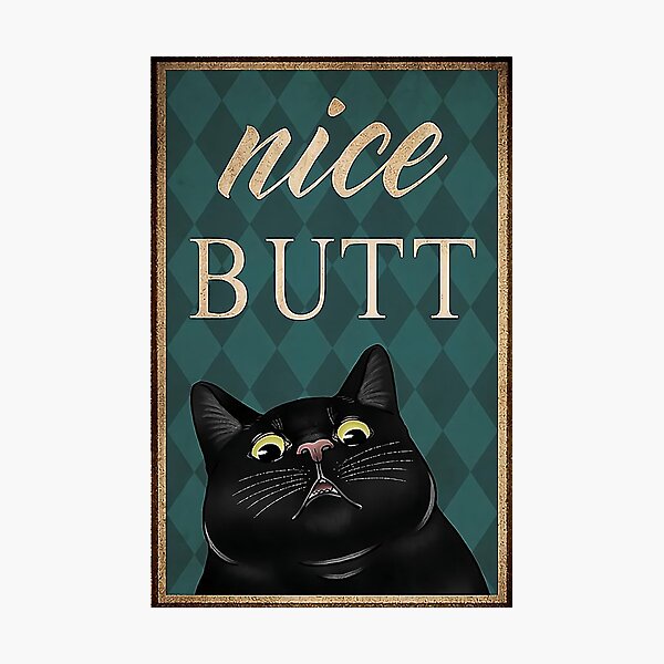 cat butt cover