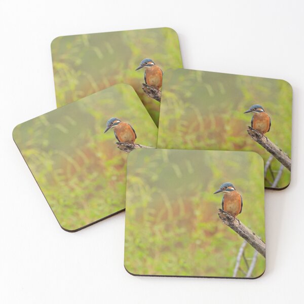 Item preview, Kingfisher on a stick designed and sold by nicky-petkov.