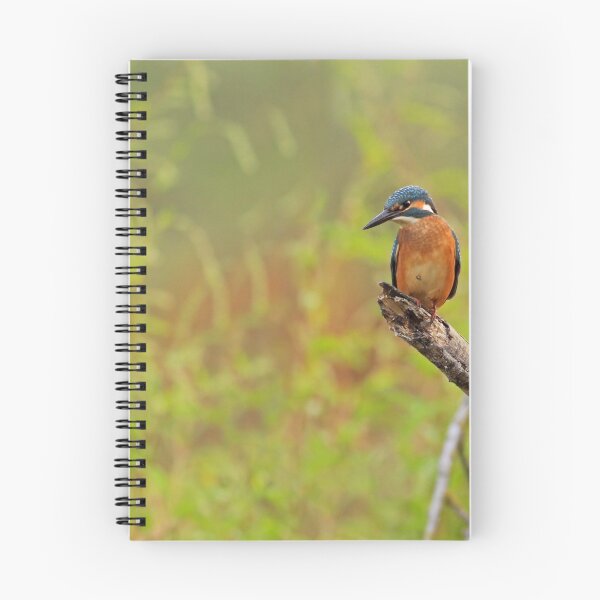 Item preview, Kingfisher on a stick designed and sold by nicky-petkov.