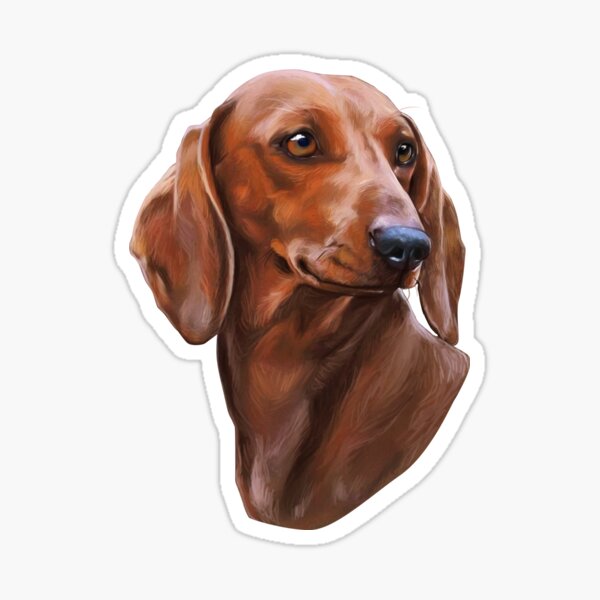 Item preview, Brown Dachshund Head Gifts designed and sold by Barnissim.