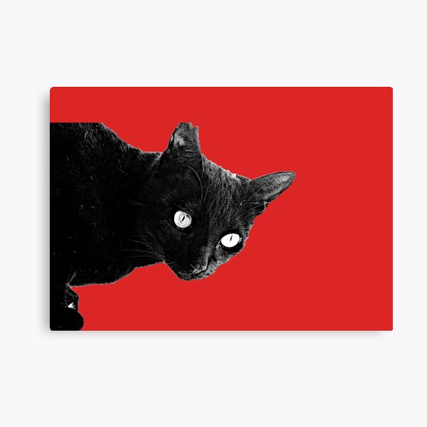 Pearli peaks through the window Canvas Print