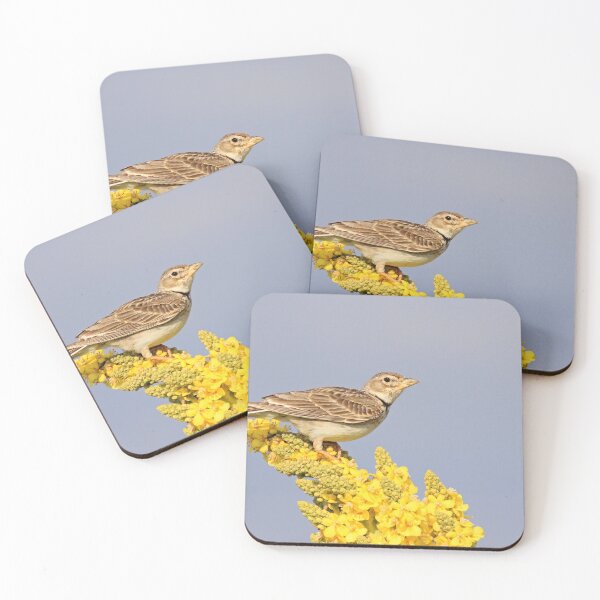 Item preview, Calandra Lark designed and sold by nicky-petkov.