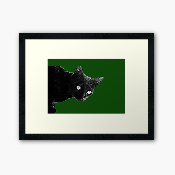 Pearli peaks through the window like the queen of green Framed Art Print