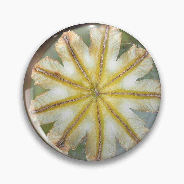 Item preview, Poppy seed pod, view from above designed and sold by SDym Photography.