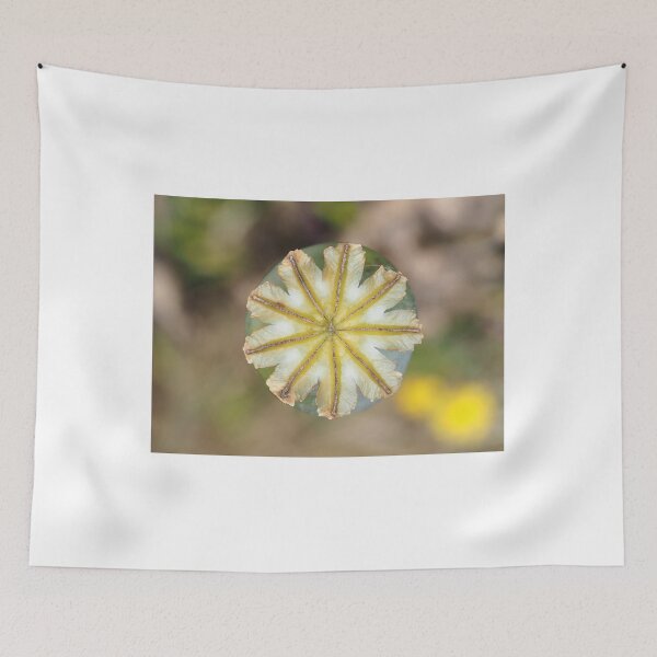Item preview, Poppy seed pod, view from above designed and sold by SDym Photography.