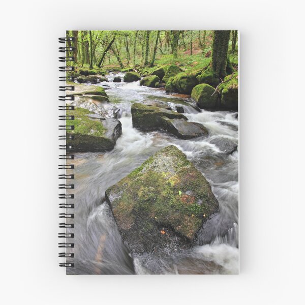 Item preview, Rocks at Golitha Falls 3 designed and sold by bitm2007.