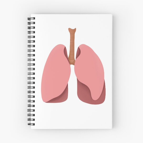 Item preview, Digital hand drawn flat illustration of human lungs designed and sold by FuzzyLogicKate.