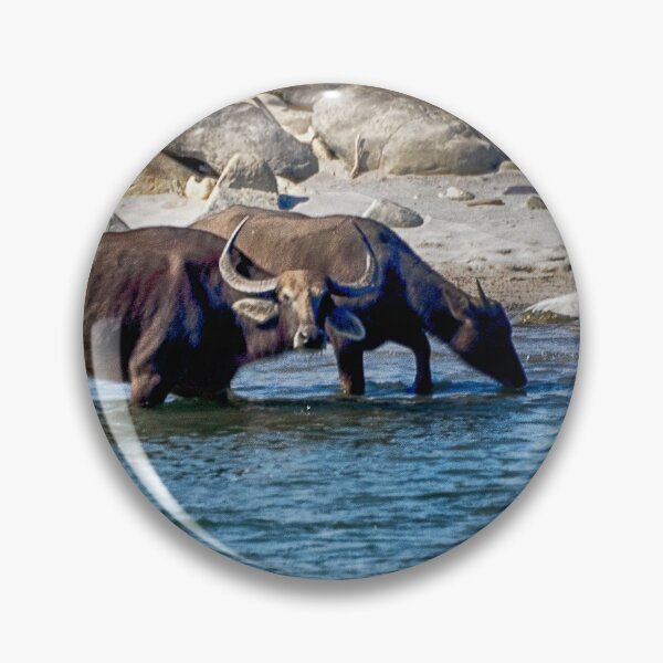 Item preview, Water Buffalo in the Manas River designed and sold by Kathy Weaver.