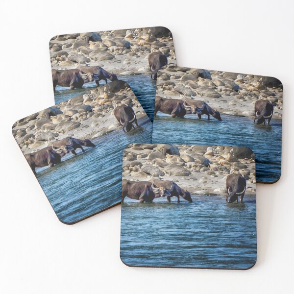 Item preview, Water Buffalo in the Manas River designed and sold by Kathy Weaver.