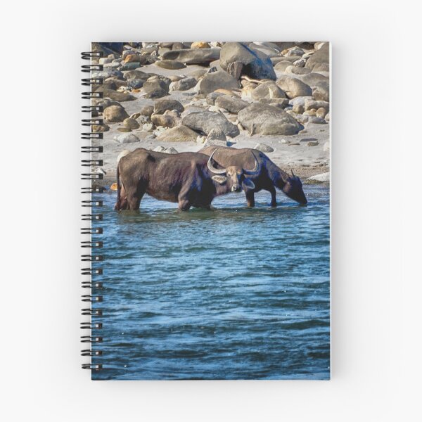 Item preview, Water Buffalo in the Manas River designed and sold by Kathy Weaver.