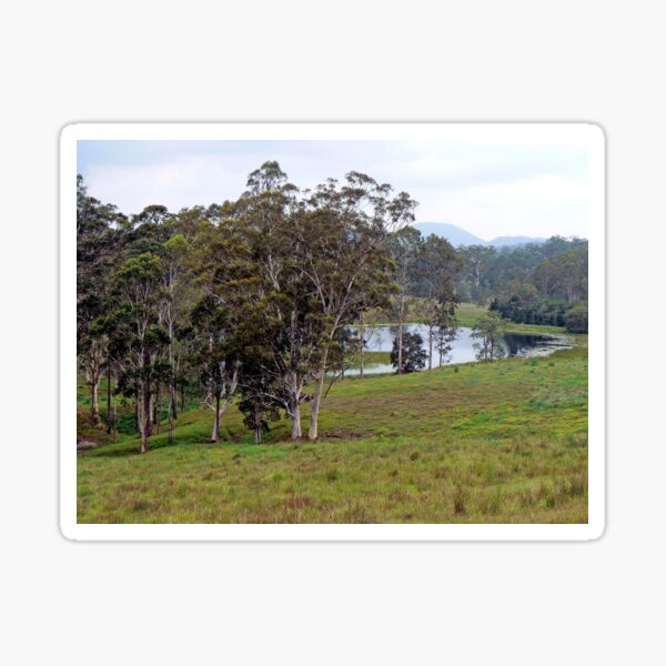 Peaceful Australian Countryside Sticker