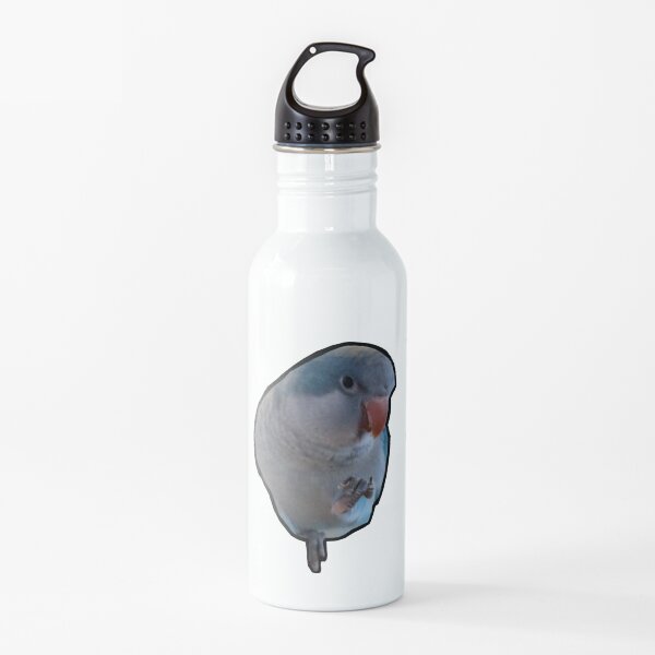 Blue Quaker Parrot Water Bottle