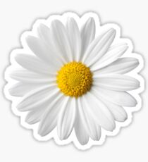 flower wow so tumblr Sticker