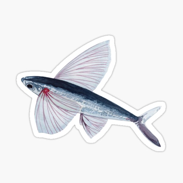 NEW AUTHENTIC VINEYARD VINES FISH FISHING POSTER STICKER DECAL 