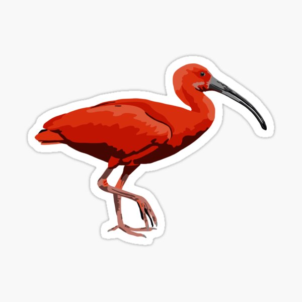 Item preview, Scarlet Ibis Portrait designed and sold by GeoCreate.