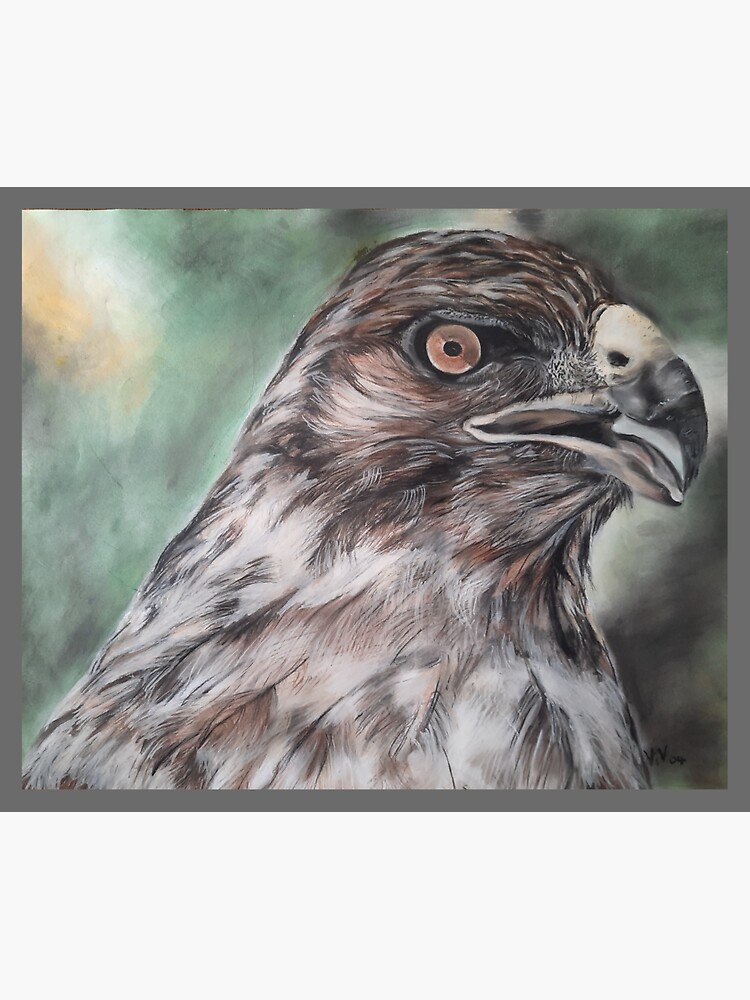 "Pastel sketch of a hawk in canvas" Sticker for Sale by Art4Design Redbubble