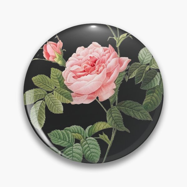 Item preview, Rosa Inermis - Pink rose designed and sold by domdjs4239.