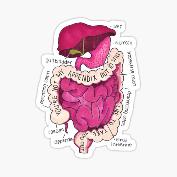 Take Me Out Sticker