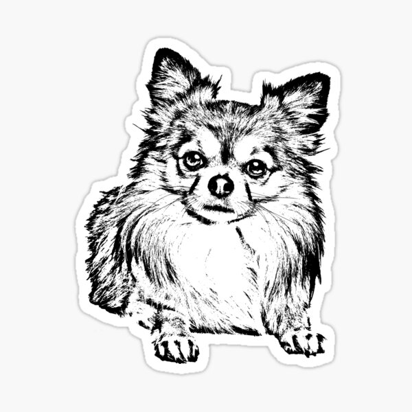 "Long Haired Chihuahua" Sticker for Sale by SmartPooch Redbubble