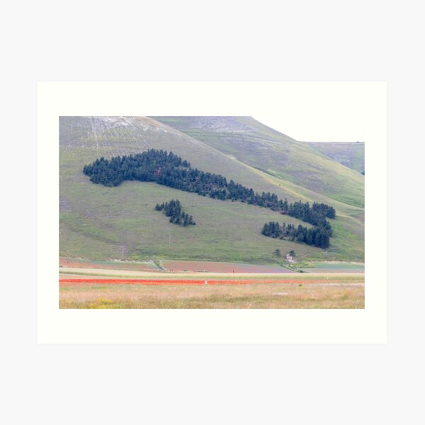 Italy of trees in Norcia valley Art Print