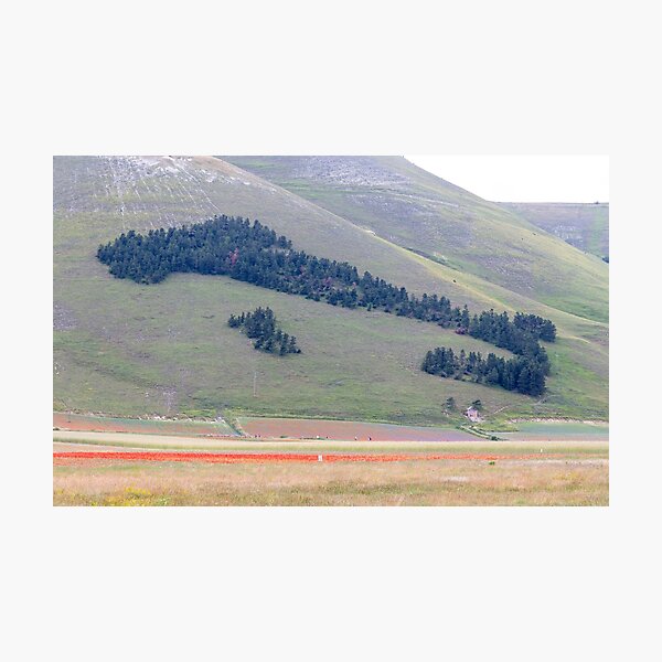 Italy of trees in Norcia valley Photographic Print