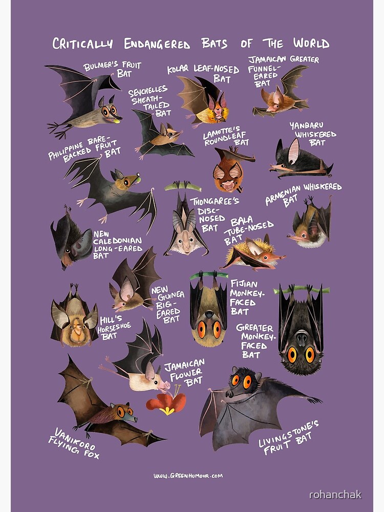 "Critically Endangered Bats of the World" Spiral Notebook by rohanchak