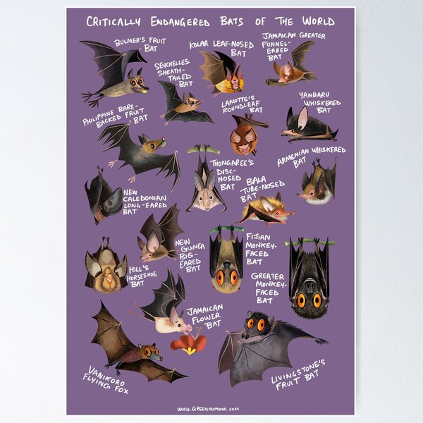 Item preview, Critically Endangered Bats of the World designed and sold by Green Humour.