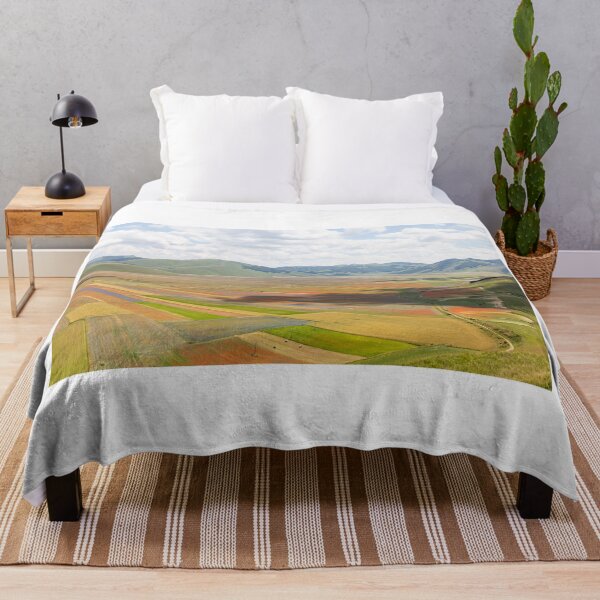 Item preview, The valley of Castelluccio designed and sold by pietrofoto.