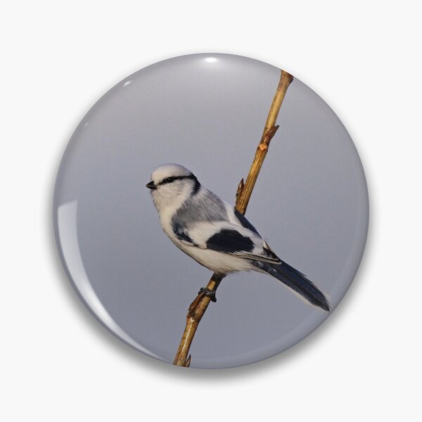 Item preview, Asure Tit designed and sold by nicky-petkov.