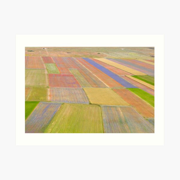 Fields on color of Castelluccio Art Print
