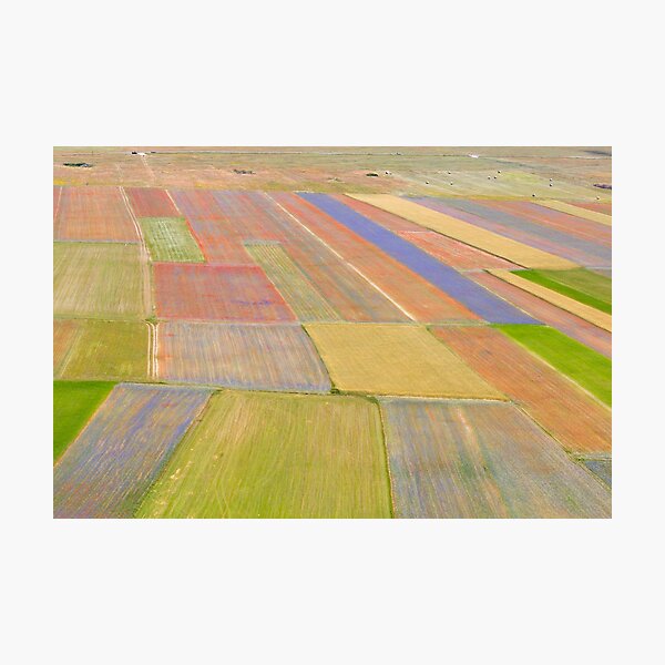 Fields on color of Castelluccio Photographic Print