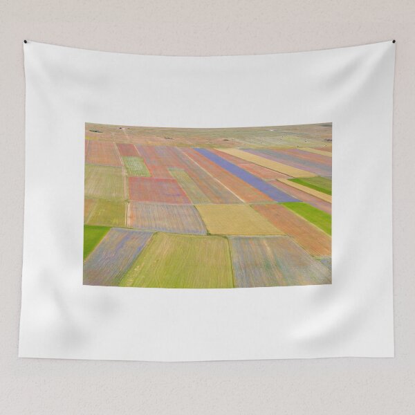 Item preview, Fields on color of Castelluccio designed and sold by pietrofoto.