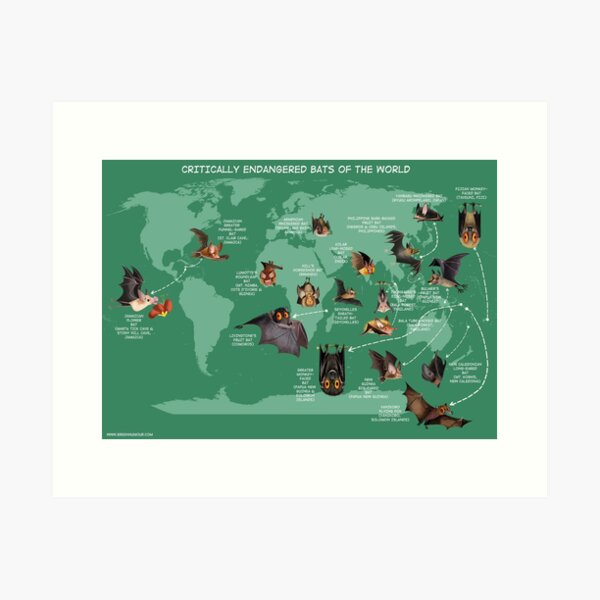 Item preview, Critically Endangered Bats World Map designed and sold by Green Humour.