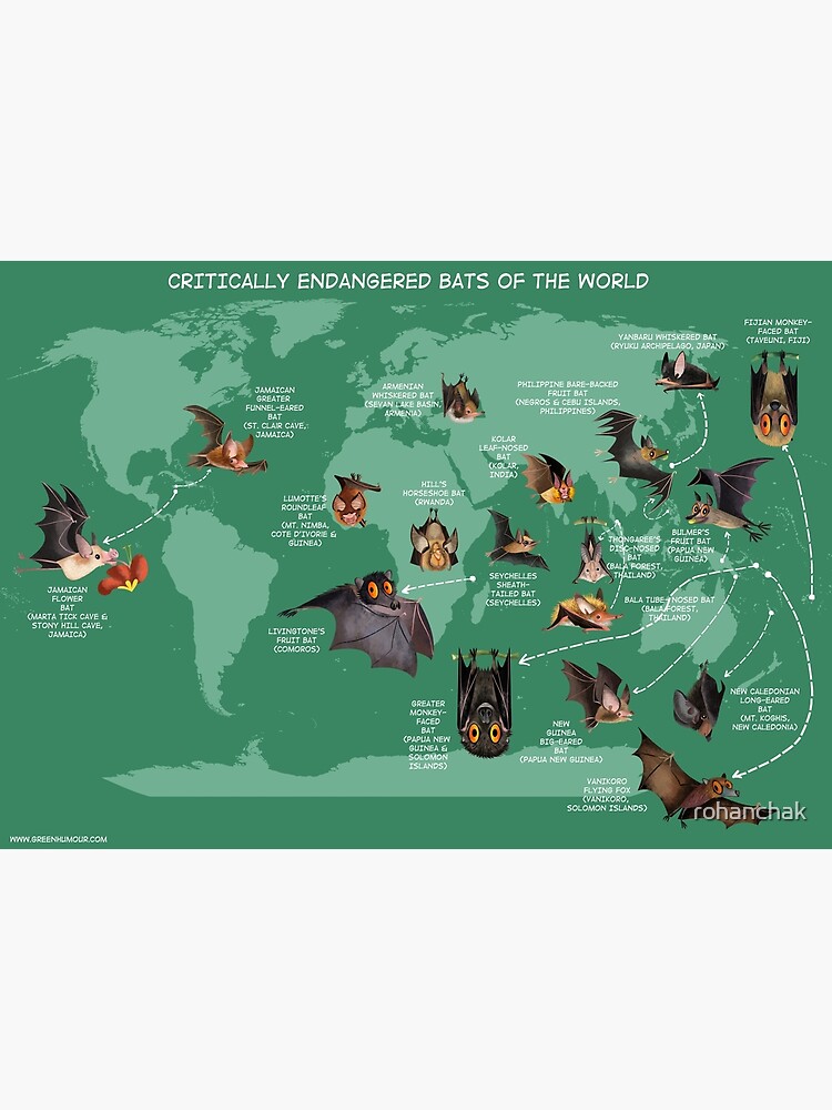 "Critically Endangered Bats World Map" Canvas Print for Sale by
